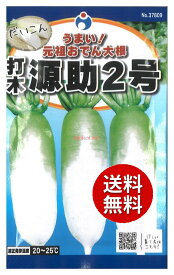 【代引不可】 【送料無料】seed たね tane 種 種子□打木源助2号大根 ◇種子種子 大根 カブ 種打木源助2号大根種子種子 大根 カブ 種 seed たね tane 種 種子打木源助2号大根種子種子 大根 カブ 種 seed たね