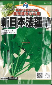 【代引不可】【送料5袋まで80円】 seed たね tane 種 種子　□新日本法蓮草 ◇種子種子 ホウレンソウ 種種子 ウタネ新日本法蓮草種子種子 ホウレンソウ 種種子 ウタネ seed たね tane 種 種子新日本法蓮草種子種子 ホウレンソウ