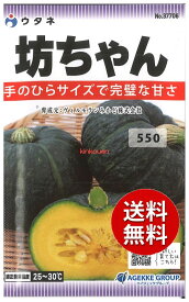 【代引不可】【送料5袋まで80円】 seed たね tane 種 種子　□坊ちゃん ◇種子種子 ウタネ種子 カボチャ 種坊ちゃん種子種子 ウタネ種子 カボチャ 種 seed たね tane 種 種子坊ちゃん種子種子 ウタネ種子 カボチャ 種