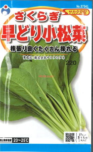 yszy5܂܂80~z ܂ 炬 ǂ菬