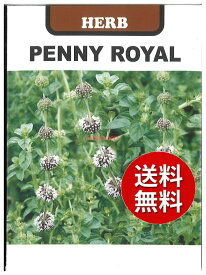 【代引不可】 seed たね tane 種 種子　□ペニーロイヤルミント ◇種子種子 ハーブ 種ペニーロイヤルミント種子種子 ハーブ 種 seed たね tane 種 種子ペニーロイヤルミント種子種子 ハーブ 種