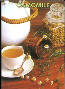 yszy5܂܂80~z seed  tane  q@W[}J~[ qq n[u W[}J~[qq n[u  seed  tane  qW[}J~[