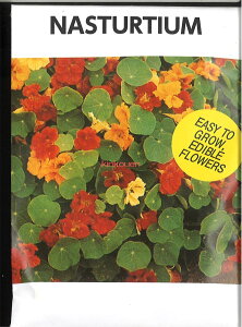 yszy5܂܂80~z seed  tane  q@iX^`E qq n[u iX^`Eqq n[u  seed  tane  qiX^`Eqq n[u  seed  