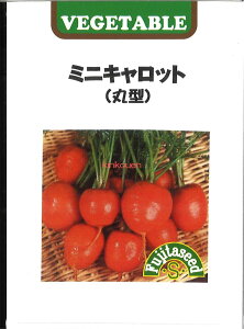 yszy5܂܂80~z seed  tane  q@~jLbg ی^ qq lQ ~jLbg ی^qq lQ  seed  tane  q~jLbg ی^qq 