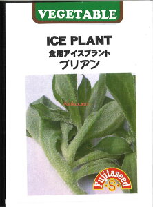 yszy5܂܂80~z seed  tane  q@HpACXvg vA qq t  HpACXvg vAqq t   seed  tane  qH