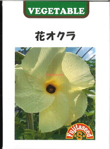 yszy5܂܂80~z seed  tane  q@ԃIN gAIC qq IN ԃIN gAICqq IN  seed  tane  qԃIN gAIC