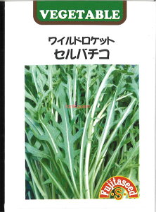 yszy5܂܂80~z seed  tane  q@ChPbg Zo`R qq t  탏ChPbg Zo`Rqq t   seed  tane  q