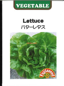 yszy5܂܂80~z seed  tane  q@o^[^X ʂ qq ubR[ Jt[ ^X o^[^X ʂqq ubR[ Jt