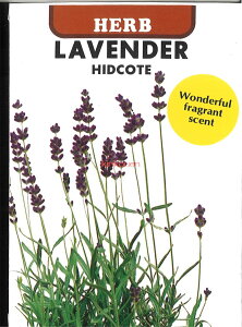 yszy5܂܂80~z seed  tane  q@x_[qfR[g qq n[u q  탉x_[qfR[gqq n[u q   seed  tane  q