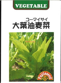 【代引不可】【送料5袋まで80円】 seed たね tane 種 種子　□大葉油麦菜 ユーマイサイ ユーマイサイ ヨウマイツァイ　A菜 エーサイ ムギレタス◇種子種子 葉野菜 他 種大葉油麦菜 ユーマイサイ種子種子 葉野菜 他 種 seed たね tane 種 種子大葉油