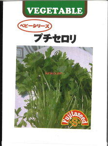 yszy5܂܂80~z seed  tane  q@v`Z qq t  v`Zqq t   seed  tane  qv`Zqq t   seed 