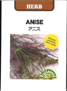 yszy5܂܂80~z seed  tane  q@AjX qq n[u AjXqq n[u  seed  tane  qAjXqq n[u  seed  tane  qAjX