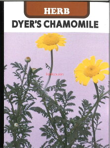 yszy5܂܂80~z seed  tane  q@_C[YJ~[ q n[u  n[u J~[ J}C J}C J~ J~c J~[ J~ J~c