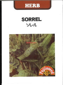 yszy5܂܂80~z seed  tane  q@\ I[C qq n[u \ I[Cqq n[u  seed  tane  q\ I[Cqq n[u  