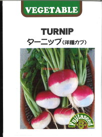 【代引不可】【送料5袋まで80円】 seed たね tane 種 種子　□ターニップ 洋種かぶ ◇種子種子 大根 カブ 種ターニップ 洋種かぶ種子種子 大根 カブ 種 seed たね tane 種 種子ターニップ 洋種かぶ種子種子 大根