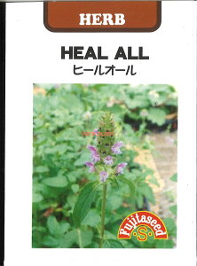 yszy5܂܂80~z seed  tane  q@q[I[ ZtEq[ qq n[u q[I[ ZtEq[qq n[u  seed  tane  qq[I