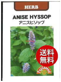 【代引不可】 seed たね tane 種 種子　□アニスヒソップ ◇種子種子 ハーブ 種アニスヒソップ種子種子 ハーブ 種 seed たね tane 種 種子アニスヒソップ種子種子 ハーブ 種 seed たね t