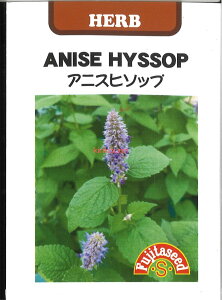 yszy5܂܂80~z seed  tane  q@AjXq\bv qq n[u AjXq\bvqq n[u  seed  tane  qAjXq\bvqq n[u  see