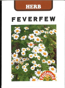 yszy5܂܂80~z seed  tane  q@tB[o[t[ qq n[u tB[o[t[qq n[u  seed  tane  qtB[o[t[qq n[