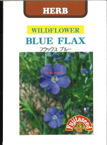 yszy5܂܂80~z seed  tane  q@tbNXEu[ qq n[u tbNXEu[qq n[u  seed  tane  qtbNXEu[qq