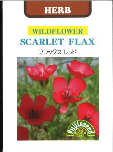 yszy5܂܂80~z seed  tane  q@tbNXbh qq n[u tbNXbhqq n[u  seed  tane  qtbNXbhqq n[