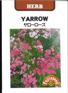 yszy5܂܂80~z seed  tane  q@[[Y qq n[u 탄[[Yqq n[u  seed  tane  q[[Yqq n[u  seed  