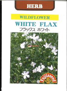 yszy5܂܂80~z seed  tane  q@tbNXzCg qq n[u tbNXzCgqq n[u  seed  tane  qtbNXzCgqq