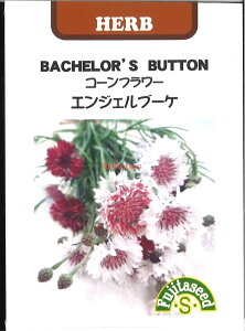 yszy5܂܂80~z seed  tane  q@R[t[ GWFu[P qq n[u R[t[ GWFu[Pqq n[u  seed  tane  q