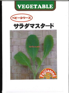 yszy5܂܂80~z seed  tane  q@T_}X^[h qq t  T_}X^[hqq t   seed  tane  qT_}X^[hqq 