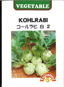 yszy5܂܂80~z seed  tane  q@R[r 2 qq t  R[r 2qq t   seed  tane  qR[r 2qq t 