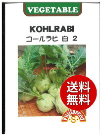 【代引不可】 【送料無料】seed たね tane 種 種子□コールラビ 白2 ◇種子種子 キャベツ 種種子 大根 カブ 種種子 コールラビ 種コールラビ 白2種子種子 キャベツ 種種子 大根 カブ 種種子 コールラビ 種 seed