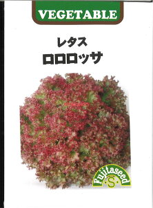 yszy5܂܂80~z seed  tane  q@bT  qq ubR[ Jt[ ^X 탍bT Ԏqq ubR[ Jt[ ^X  seed 