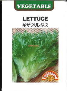 yszy5܂܂80~z seed  tane  q@MUt^X qq ubR[ Jt[ ^X MUt^Xqq ubR[ Jt[ ^X  se