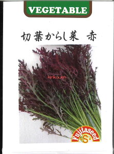 yszy5܂܂80~z seed  tane  q@ؗt炵  qq t  ؗt炵 Ԏqq t   seed  tane  qؗt炵 Ԏqq t