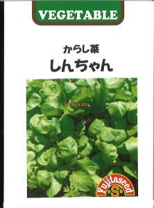 yszy5܂܂80~z seed  tane  q@炵 񂿂 qq t  킩炵 񂿂qq t   seed  tane  q炵 񂿂