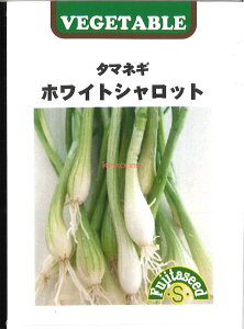 yszy5܂܂80~z seed  tane  q@zCgVbg qq lM zCgVbgqq lM  seed  tane  qzCgVbgqq l