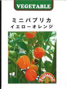 yszy5܂܂80~z seed  tane  q@~jpvJ CG[IW qq s[} VVgE gEKV ~jpvJ CG[IWqq s[} V