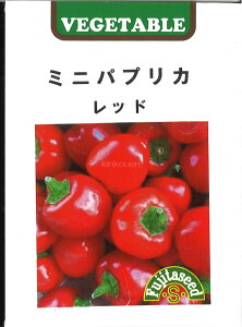 yszy5܂܂80~z seed  tane  q@~jpvJ bh qq s[} VVgE gEKV ~jpvJ bhqq s[} VVgE gEKV  
