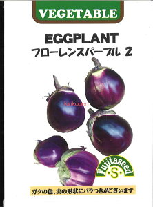 yszy5܂܂80~z seed  tane  q@iX t[Xp-v2 qq iX iX t[Xp-v2qq iX  seed  tane  qiX t[X