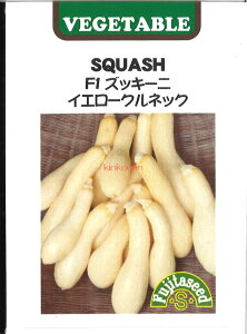 yszy5܂܂80~z seed  tane  q@F1YbL[j CG[NlbN qq J{` F1YbL[j CG[NlbNqq J{`  seed  tane  