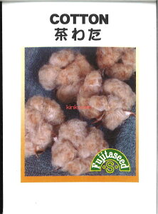yszy5܂܂80~z seed  tane  q@킽 qq  풃킽qq   seed  tane  q킽qq   seed  tane  q킽qq   