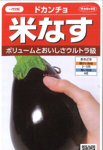 yszy5܂܂80~z seed  tane  q@hJ` ĂȂ qq iX hJ` ĂȂqq iX  seed  tane  qhJ` ĂȂqq iX  