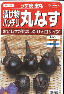 yszy5܂܂80~z seed  tane  q@疡 Ђob`ۂȂ qq iX 키疡 Ђob`ۂȂqq iX  seed  tane  q