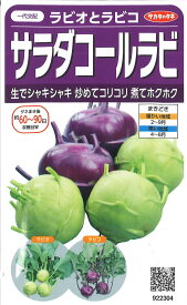 【代引不可】【送料5袋まで80円】 □ ラビオとラビコサラダコールラビ■種子 キャベツ 種葉野菜 他 種種子 大根 カブ 種種子 種子そ 他 種子 キャベツ 種葉野菜 他 種種子 大根 カブ 種種子 種子そ 他 種子 キャベツ 種葉野菜 他