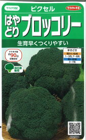 【代引不可】【送料5袋まで80円】 seed たね tane 種 種子　□ピクセル はやどりブロッコリー ◇種子種子 ブロッコリー カリフラワー レタス 種ピクセル はやどりブロッコリー種子種子 ブロッコリー カリフラワー レタス 種 s