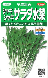 【代引不可】【送料5袋まで80円】 □ 早生水天シャキシャキサラダ水菜■葉野菜 他 種 葉野菜 他 種 葉野菜 他 種 葉野菜 他 種 葉野菜 他 種 葉野菜 他 種 葉野菜 他 種 葉野菜 他 種 葉野菜 他 種 葉野菜 他 種 葉野菜 他 種