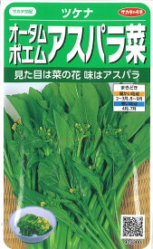 【代引不可】【送料5袋まで80円】 □ ツケナオータムポエムアスパラ菜■葉野菜 他 種 葉野菜 他 種 葉野菜 他 種 葉野菜 他 種 葉野菜 他 種 葉野菜 他 種 葉野菜 他 種 葉野菜 他 種 葉野菜 他 種 葉野菜 他 種 葉野菜 他 種