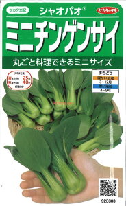 yszy5܂܂80~z seed  tane  q@VIpI ~j`QTC qq t  VIpI ~j`QTCqq t   seed  tane  qV