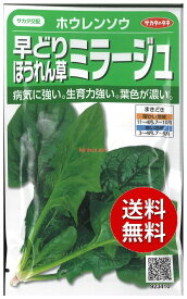 【代引不可】【送料5袋まで80円】 seed たね tane 種 種子　□ホウレンソウ 早どりほうれん草ミラージュ ◇種子種子 ホウレンソウ 種ホウレンソウ 早どりほうれん草ミラージュ種子種子 ホウレンソウ 種 seed たね tane 種 種