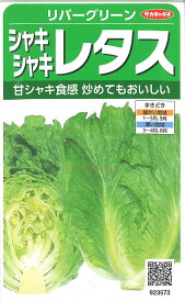 【代引不可】【送料5袋まで80円】 □ リバーグリーンシャキシャキレタス■種子 ブロッコリー カリフラワー レタス 種 種子 ブロッコリー カリフラワー レタス 種 種子 ブロッコリー カリフラワー レタス 種 種子 ブロッコリー カリフラワー